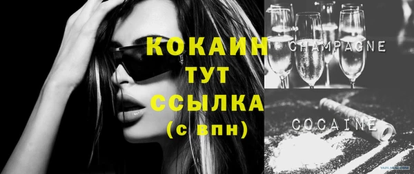 молекула духа Алексин